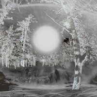 24 Hebel für die Welt