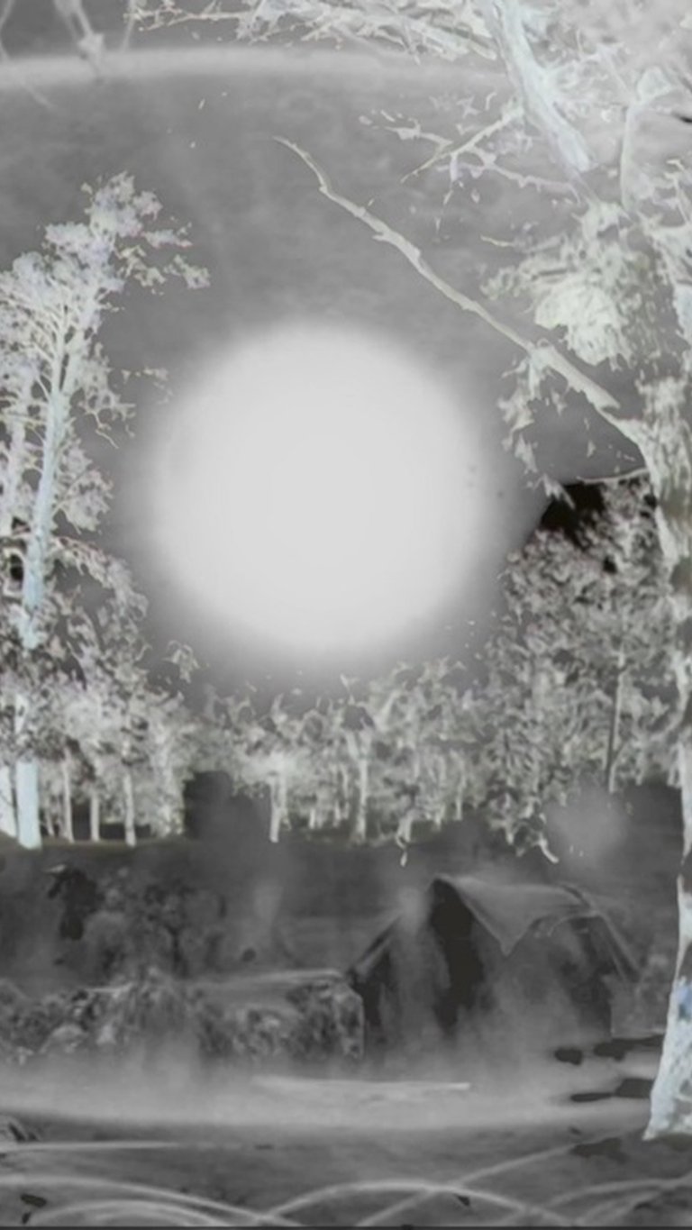 24 Hebel für die Welt