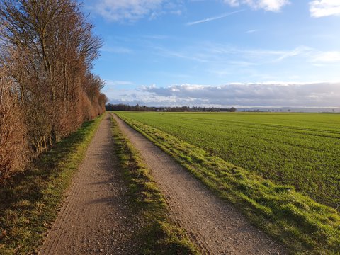 Auf dem Weg von Buschhoven nach Dünstekoven - © Beethovenfest Bonn