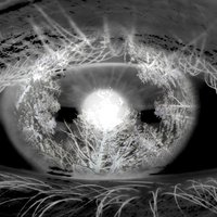 24 Hebel für die Welt