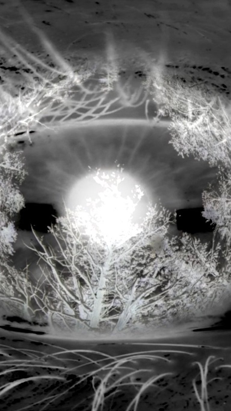 24 Hebel für die Welt