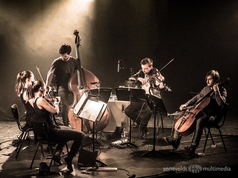 Wooden Elephant - © Anneveldt Multimedia