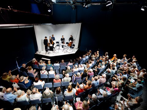 Theater im Ballsaal, Endenich