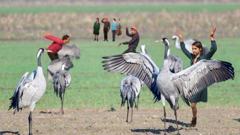 © Inigo Giner Miranda